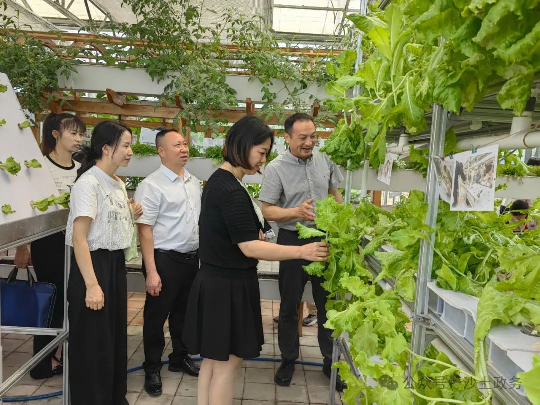 观堂小学教师到徐州市跟岗培训收获满满 第4张 观堂小学教师到徐州市跟岗培训收获满满 第4张