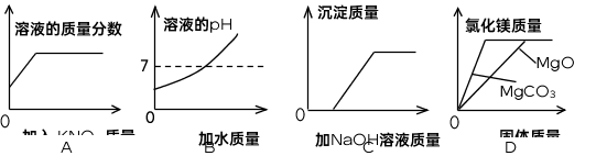 中考化学模拟试卷(带有答案) 【可下载打印】 第5张