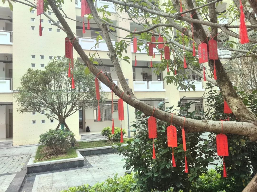 【团辅活动】许愿高考,加油未来——德化第二中学开展高考许愿暨心理减压活动 第9张 【团辅活动】许愿高考,加油未来——德化第二中学开展高考许愿暨心理减压活动 第9张