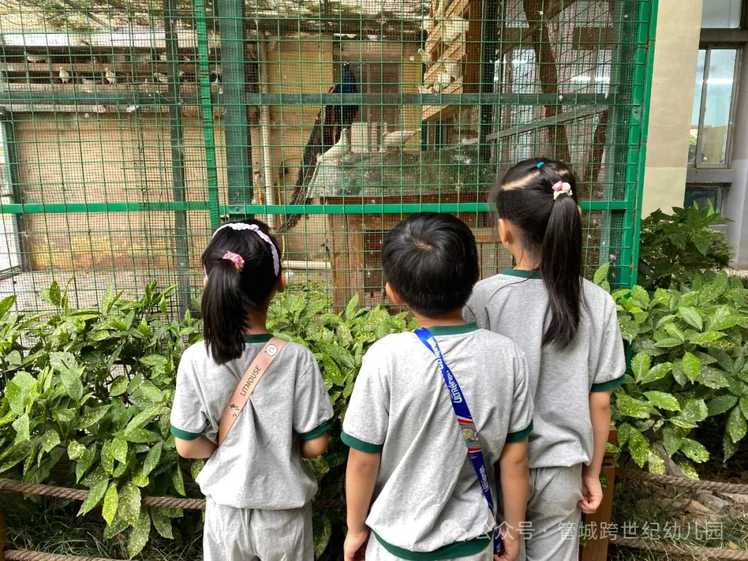 【初探小学 礼遇成长】——管城跨世纪幼儿园参观小学活动 第25张