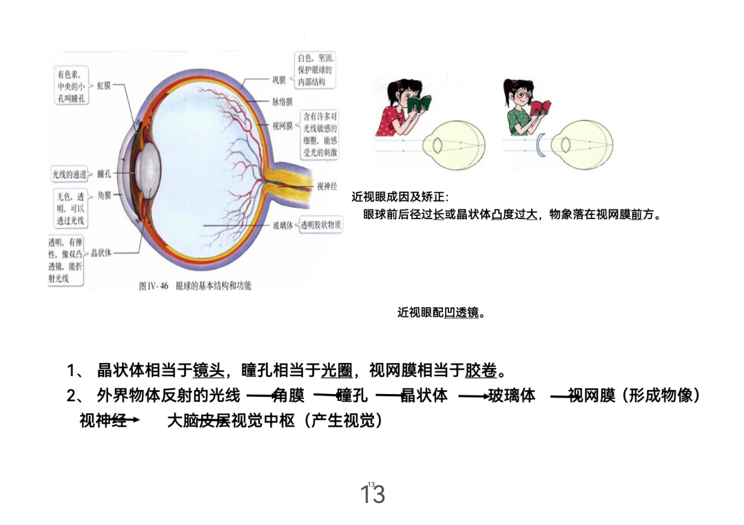 2024年中考生物考前课本重点图片回顾 第13张 2024年中考生物考前课本重点图片回顾 第13张