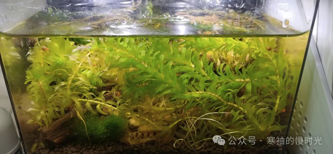 高考最后100天我在干什么 第19张