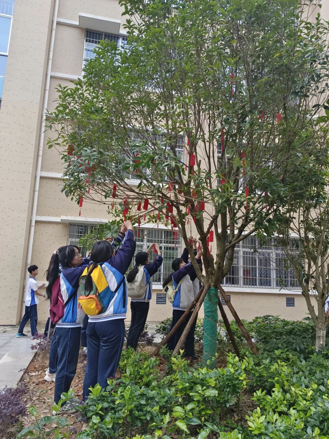 【团辅活动】许愿高考,加油未来——德化第二中学开展高考许愿暨心理减压活动 第22张 【团辅活动】许愿高考,加油未来——德化第二中学开展高考许愿暨心理减压活动 第22张
