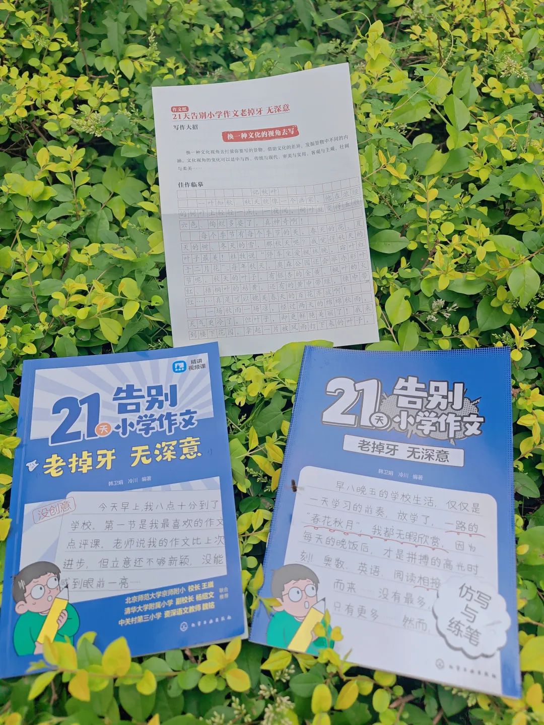 让孩子21天告别小学作文难题!对症下药,作文急救包来了! 第29张 让孩子21天告别小学作文难题!对症下药,作文急救包来了! 第29张