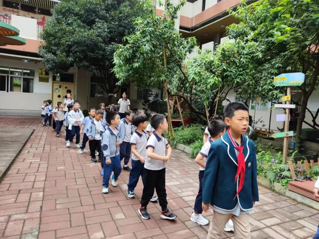 初探小学,礼遇成长 第26张 初探小学,礼遇成长 第26张