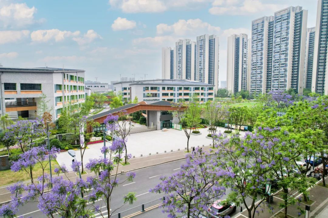 四川天府新区元音小学2024年端午节假期放假通知及安全提示 第15张 四川天府新区元音小学2024年端午节假期放假通知及安全提示 第15张