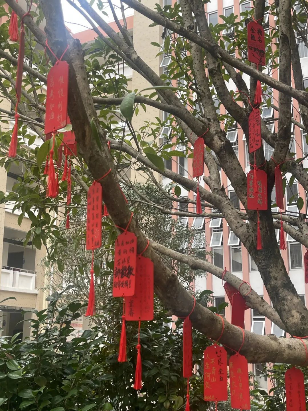 【团辅活动】许愿高考,加油未来——德化第二中学开展高考许愿暨心理减压活动 第13张 【团辅活动】许愿高考,加油未来——德化第二中学开展高考许愿暨心理减压活动 第13张