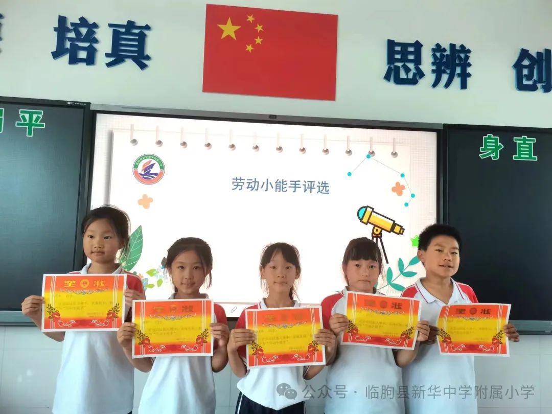 劳动的你最美——新华中学附属小学开展劳动月系列活动 第33张 劳动的你最美——新华中学附属小学开展劳动月系列活动 第33张