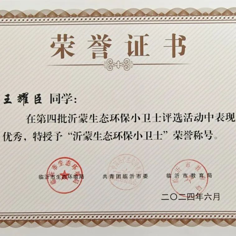 【北城小学I喜报】临沂北城小学队员喜获临沂市“沂蒙生态环保小卫士”荣誉称号 第8张