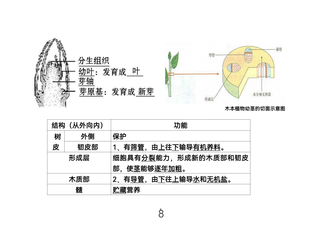 2024年中考生物考前课本重点图片回顾 第8张 2024年中考生物考前课本重点图片回顾 第8张