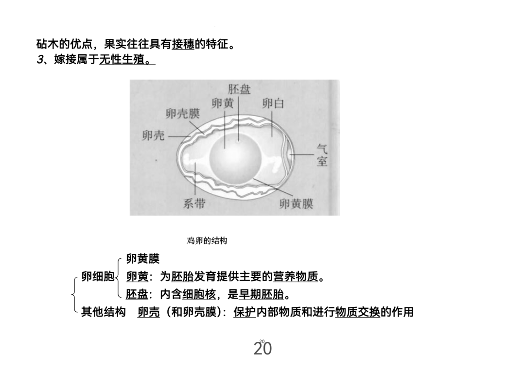 2024年中考生物考前课本重点图片回顾 第21张 2024年中考生物考前课本重点图片回顾 第21张