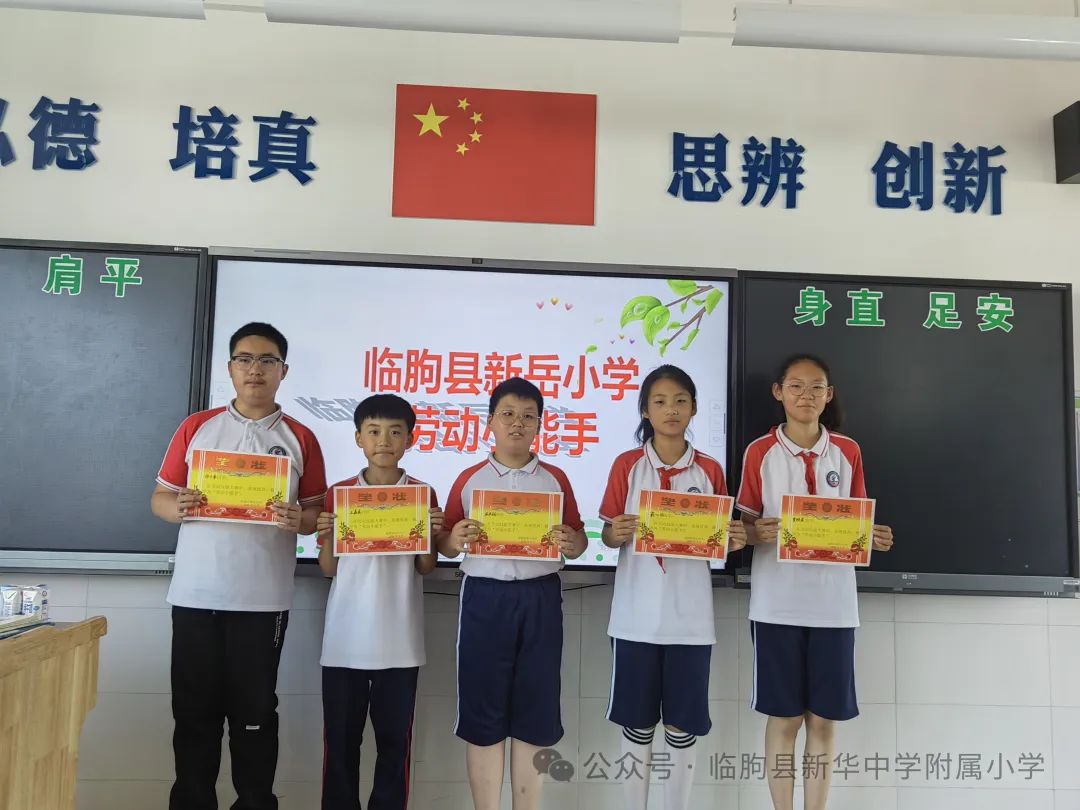 劳动的你最美——新华中学附属小学开展劳动月系列活动 第38张 劳动的你最美——新华中学附属小学开展劳动月系列活动 第38张