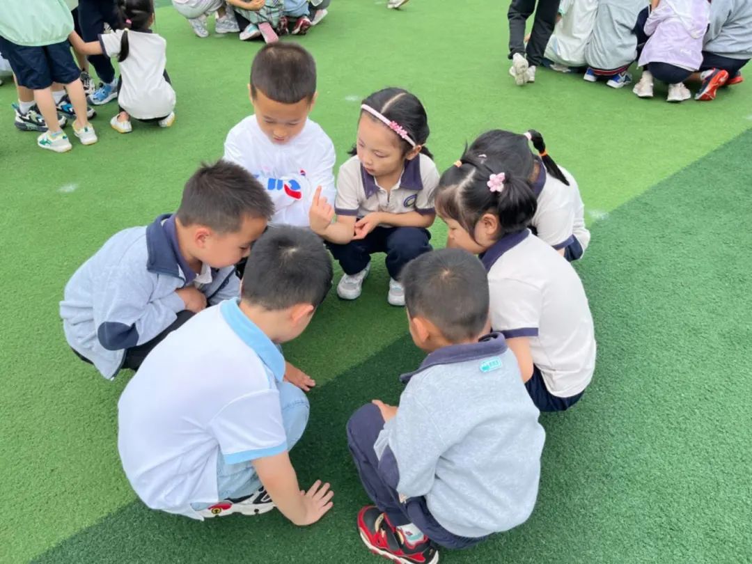 初探小学,礼遇成长 第63张 初探小学,礼遇成长 第63张