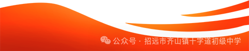寄语中考,让青春在拼搏中闪光——齐山镇十字道初中第十五周升旗仪式 第10张