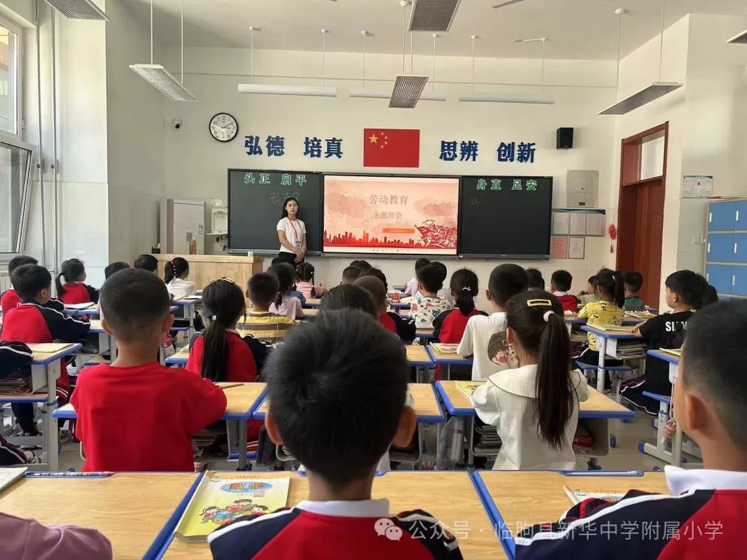 劳动的你最美——新华中学附属小学开展劳动月系列活动 第12张 劳动的你最美——新华中学附属小学开展劳动月系列活动 第12张