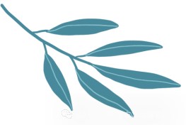 【爱生长活动】大三班:搭建小学 第15张 【爱生长活动】大三班:搭建小学 第15张