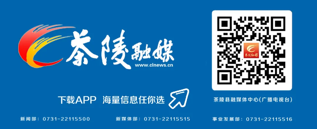 杨红兵带队巡视高考考点及周边环境工作 第5张