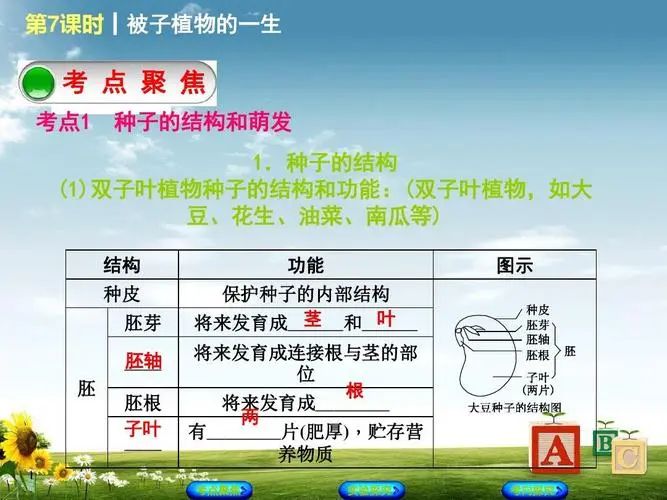 《孙雅俊 中考生物核心考点》所有课程 (超清1080p) 第5张