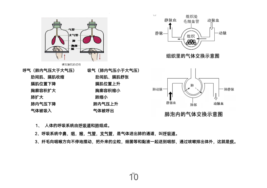 2024年中考生物考前课本重点图片回顾 第10张 2024年中考生物考前课本重点图片回顾 第10张