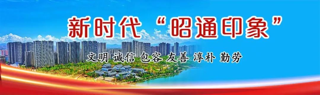 三桃小学U12篮球队,冠军! 第2张 三桃小学U12篮球队,冠军! 第2张