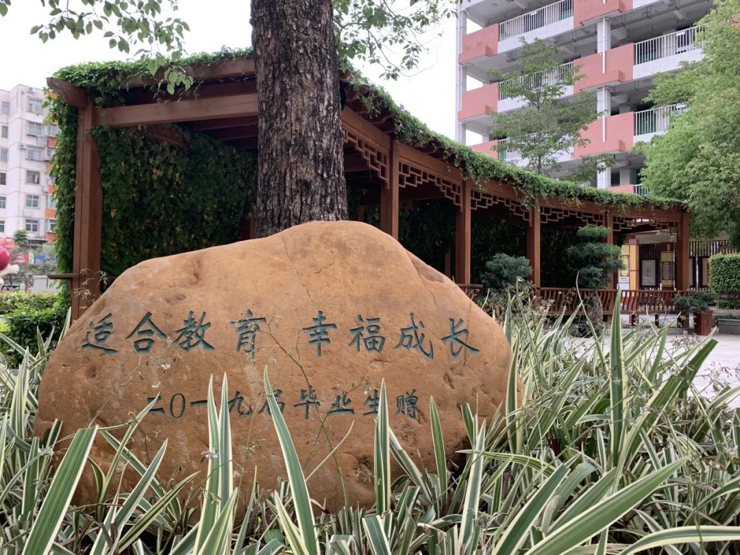 上合小学2024年秋季小一新生招生工作指引 第11张 上合小学2024年秋季小一新生招生工作指引 第11张