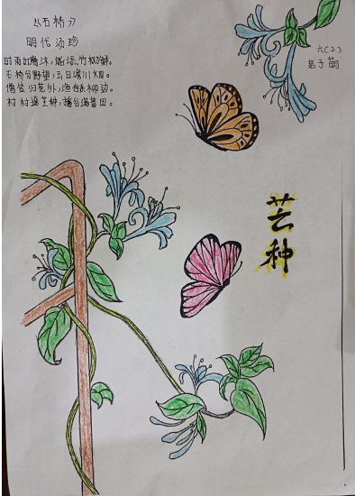 芒种至,盛夏始——蠡吾镇中心小学二十四节气系列主题教育活动 第16张
