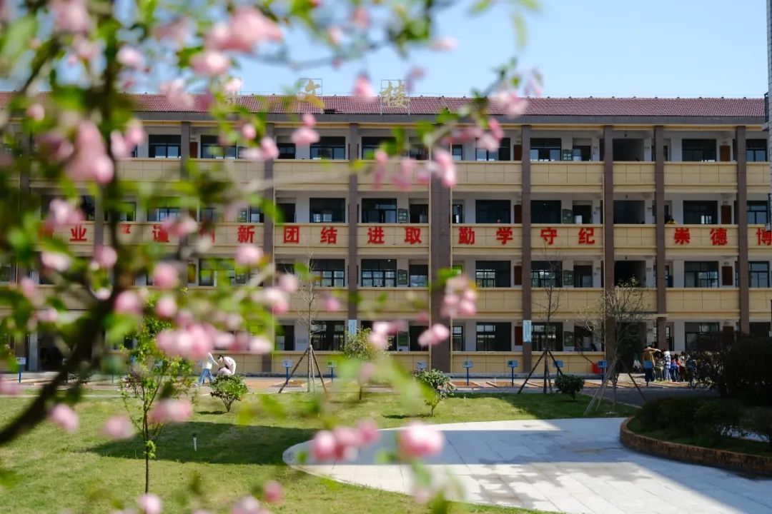 陬市镇第二完全小学2024年秋季新生招生简章 第2张