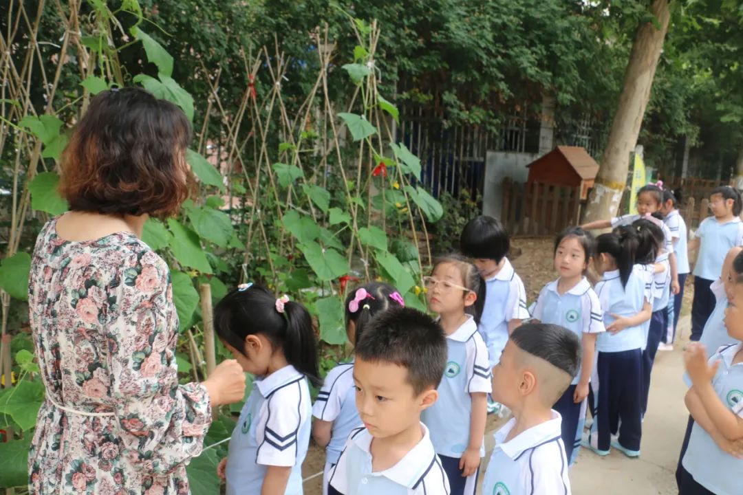 礼遇小学 筑梦成长——丰润区迎宾路幼儿园参观小学活动 第12张 礼遇小学 筑梦成长——丰润区迎宾路幼儿园参观小学活动 第12张