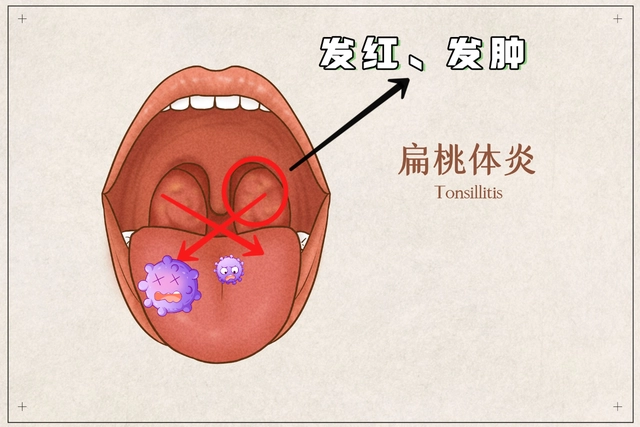 高考临近,警惕这些升学路的 “ 拦路虎 ” 第3张