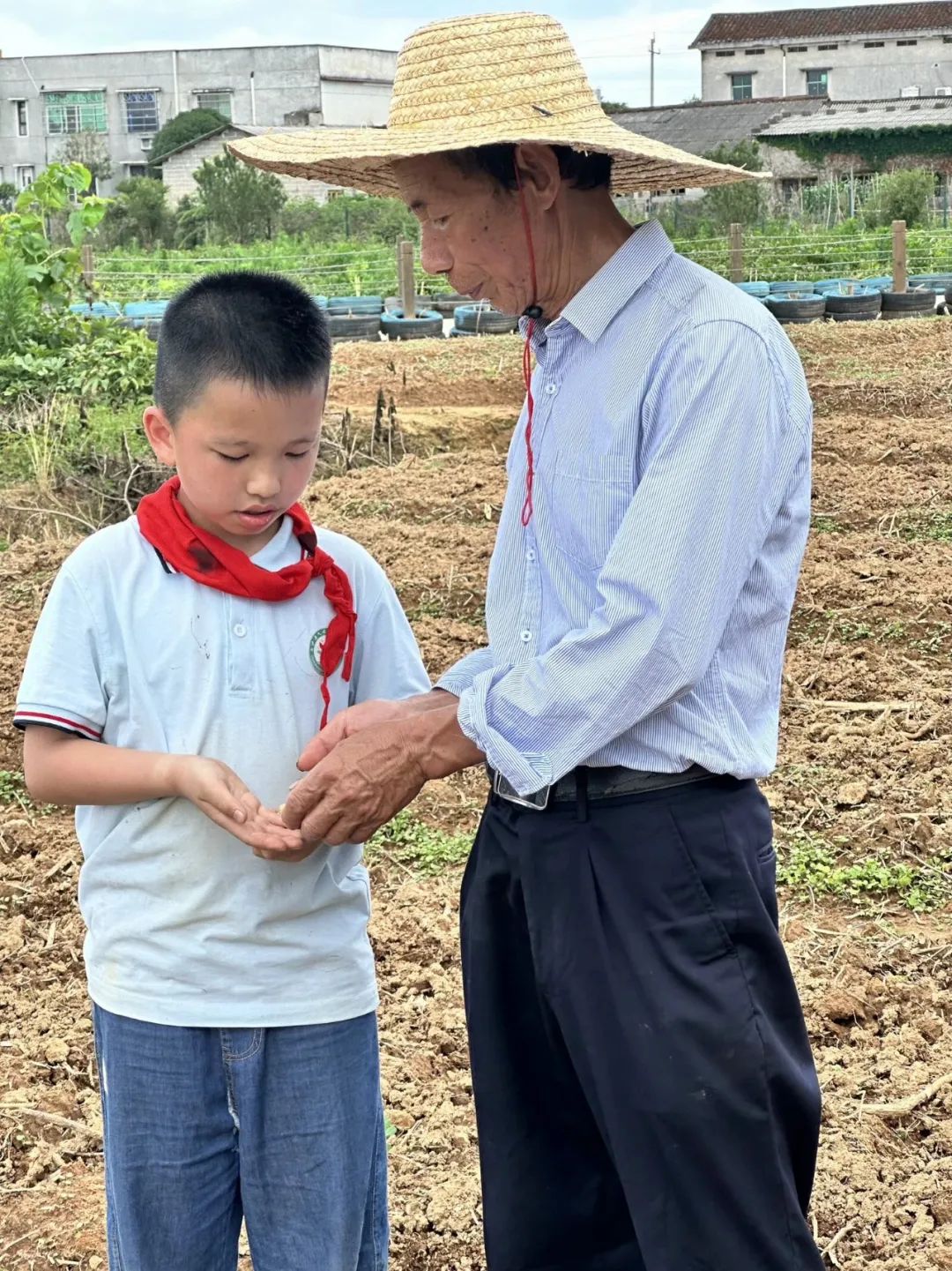 花园小学“国歌嘹亮 耕读童年”——庆六一•红领巾爱祖国研学实践活动 第57张 花园小学“国歌嘹亮 耕读童年”——庆六一•红领巾爱祖国研学实践活动 第57张