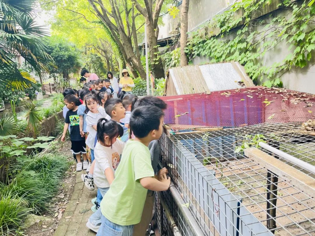 【小幼衔接】你好,小学——洪庙小学小幼衔接之“走进小学”活动 第13张 【小幼衔接】你好,小学——洪庙小学小幼衔接之“走进小学”活动 第13张