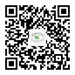 十堰市茅箭区火车站小学开展插秧苗劳动体验活动 第5张 十堰市茅箭区火车站小学开展插秧苗劳动体验活动 第5张