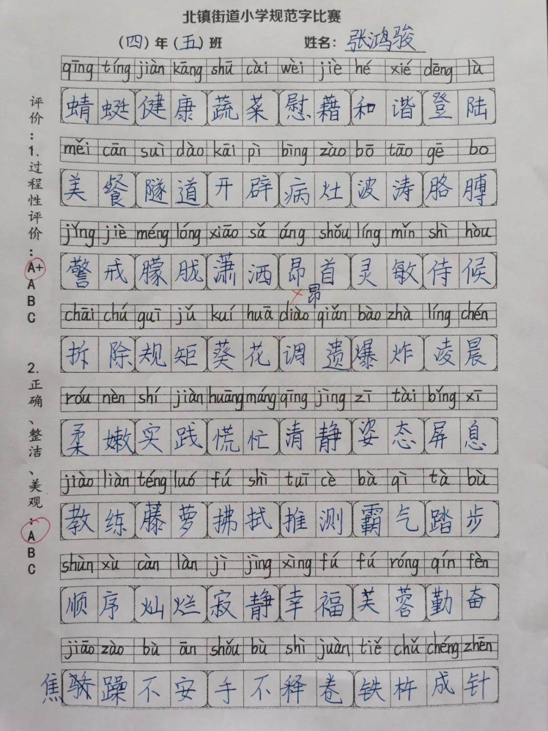 书规范汉字 写精彩人生——北镇街道小学规范字书写大赛 第41张 书规范汉字 写精彩人生——北镇街道小学规范字书写大赛 第41张