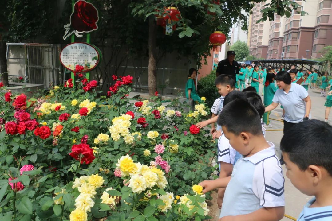 礼遇小学 筑梦成长——丰润区迎宾路幼儿园参观小学活动 第13张 礼遇小学 筑梦成长——丰润区迎宾路幼儿园参观小学活动 第13张