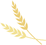芒有所得,高考加油 第1张 芒有所得,高考加油 第1张