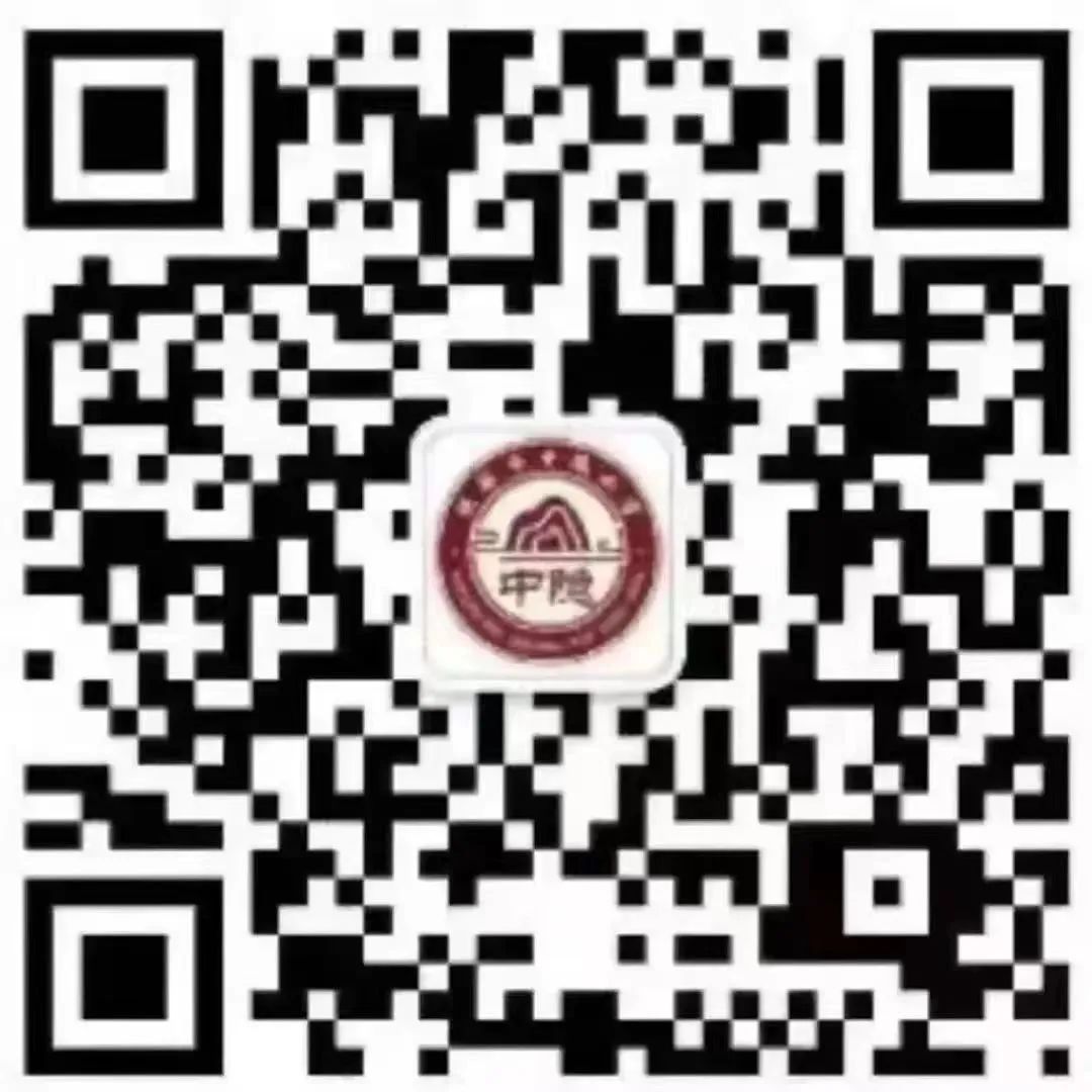 【中隐小学·德育活动】桂林市中隐小学中隐好少年表彰之“中隐小健将” 第55张 【中隐小学·德育活动】桂林市中隐小学中隐好少年表彰之“中隐小健将” 第55张