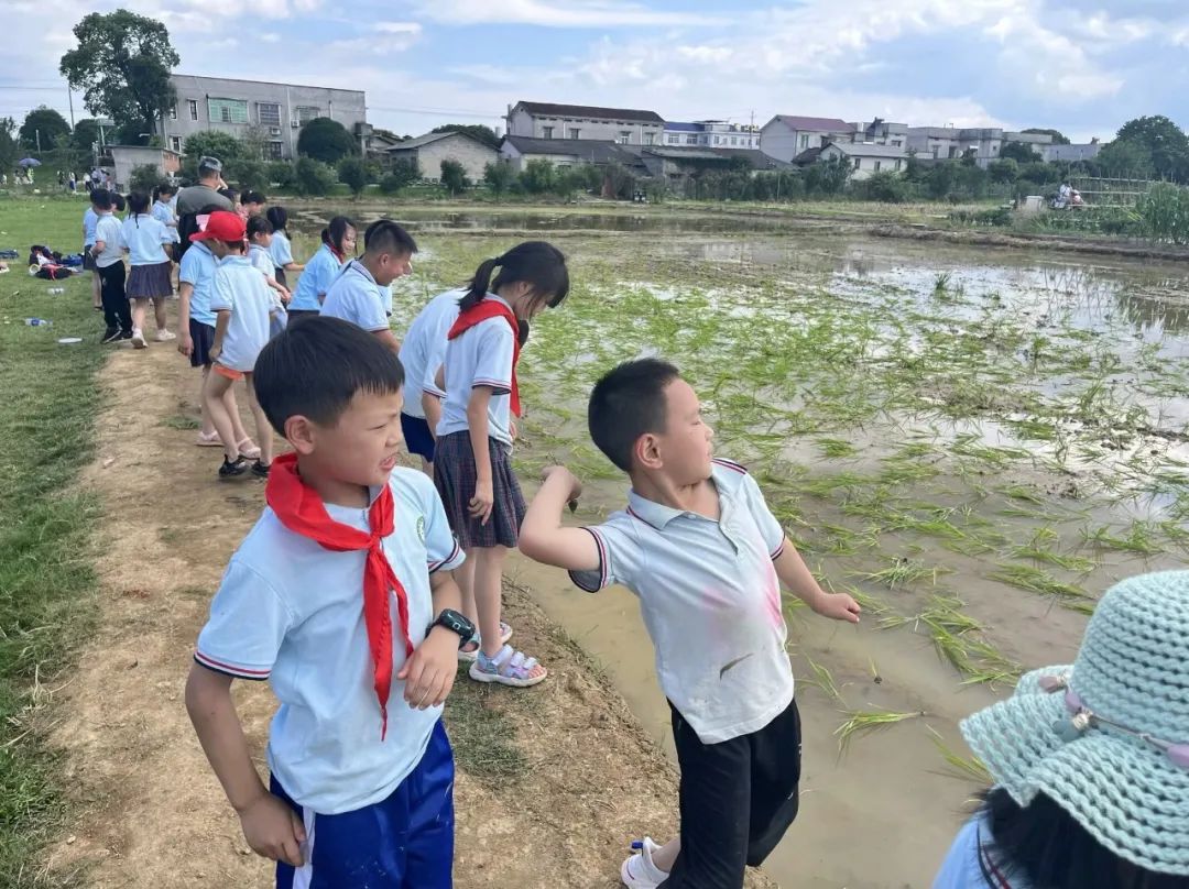 花园小学“国歌嘹亮 耕读童年”——庆六一•红领巾爱祖国研学实践活动 第79张 花园小学“国歌嘹亮 耕读童年”——庆六一•红领巾爱祖国研学实践活动 第79张