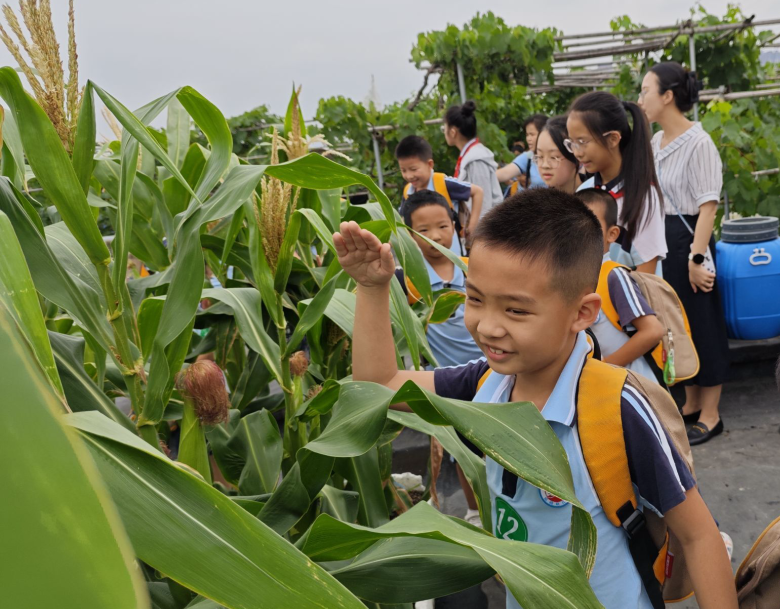【园级动态】初探小学  期望成长——红岭幼儿园大班组参观小学活动纪实 第41张