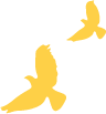 红领巾爱祖国 好少年心向党‖南台小学2024年新队员入队仪式 第83张 红领巾爱祖国 好少年心向党‖南台小学2024年新队员入队仪式 第83张