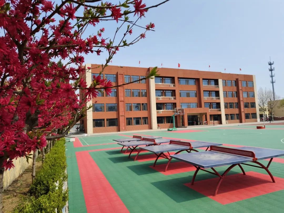 优质均衡发展工作动态②丨郑母小学:优质均衡办教育,浩然正气育人才 第4张 优质均衡发展工作动态②丨郑母小学:优质均衡办教育,浩然正气育人才 第4张