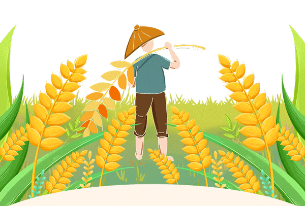 【金安小学】芒种——愿你“芒”有所获, “种”有所得 第5张 【金安小学】芒种——愿你“芒”有所获, “种”有所得 第5张
