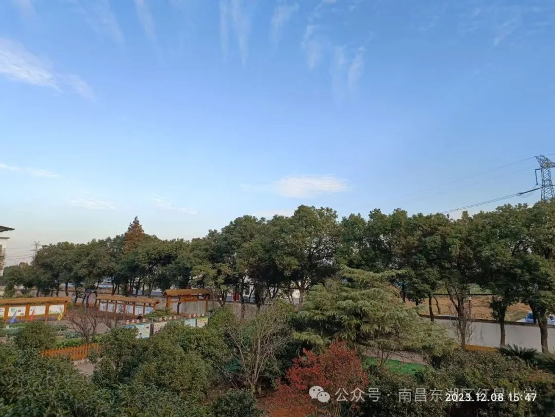 八一嘉实希望小学教育集团红星校区2024年端午节假期安全致家长的一封信 第9张