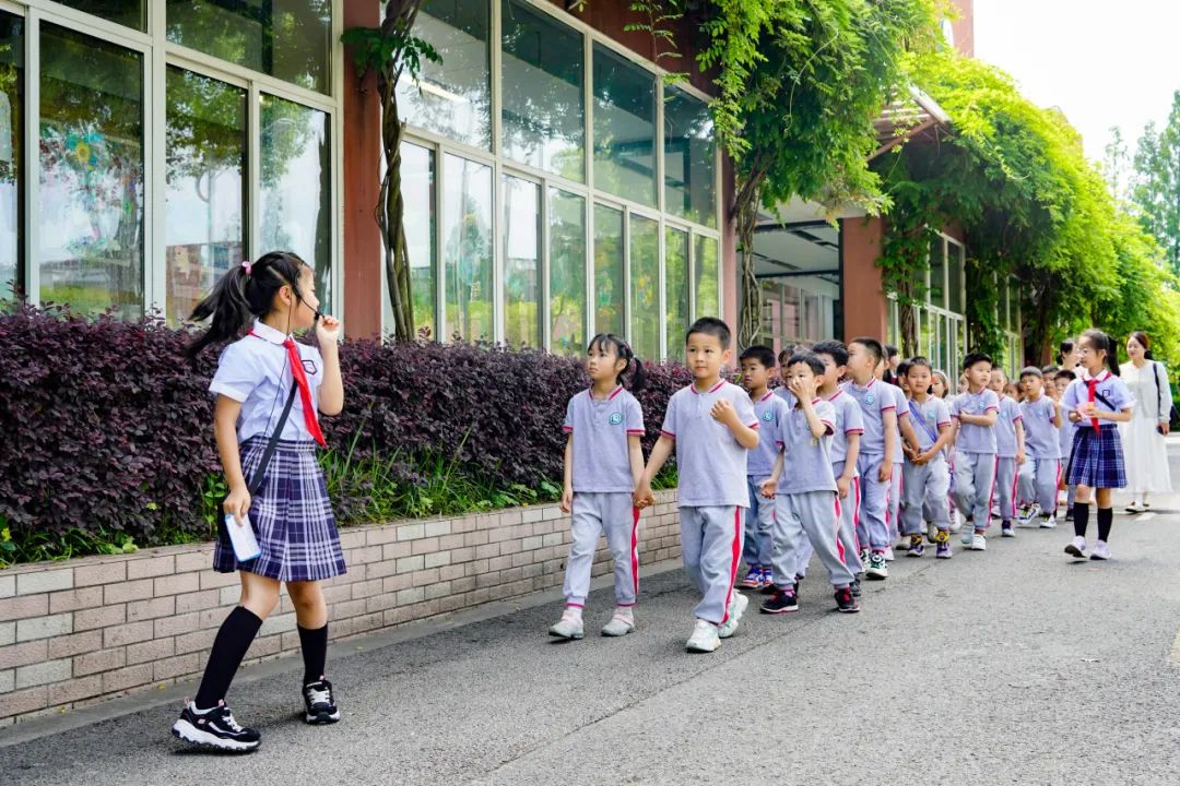 【课程速递】探秘小学 展望未来 第16张