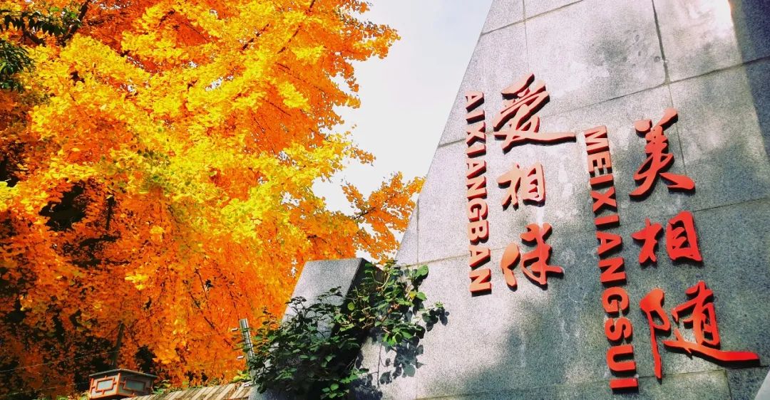 早读丨成都市成华小学校 六年级九班 第16张 早读丨成都市成华小学校 六年级九班 第16张