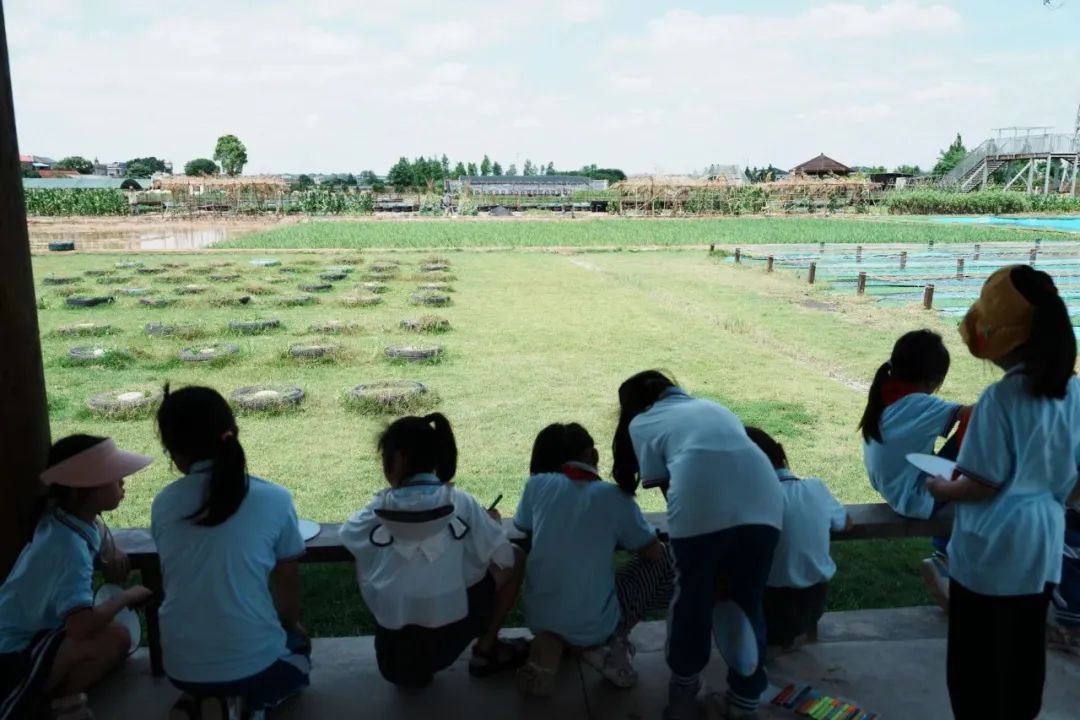 花园小学“国歌嘹亮 耕读童年”——庆六一•红领巾爱祖国研学实践活动 第126张 花园小学“国歌嘹亮 耕读童年”——庆六一•红领巾爱祖国研学实践活动 第126张