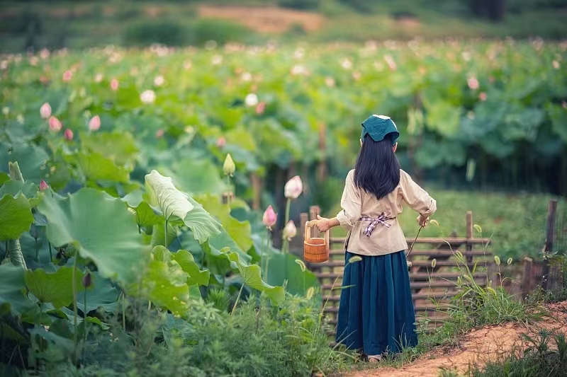 【金安小学】芒种——愿你“芒”有所获, “种”有所得 第19张 【金安小学】芒种——愿你“芒”有所获, “种”有所得 第19张