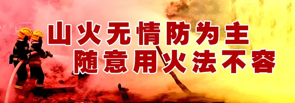【关注高考】速看!2024年高考期间天气预报来了! 第4张 【关注高考】速看!2024年高考期间天气预报来了! 第4张