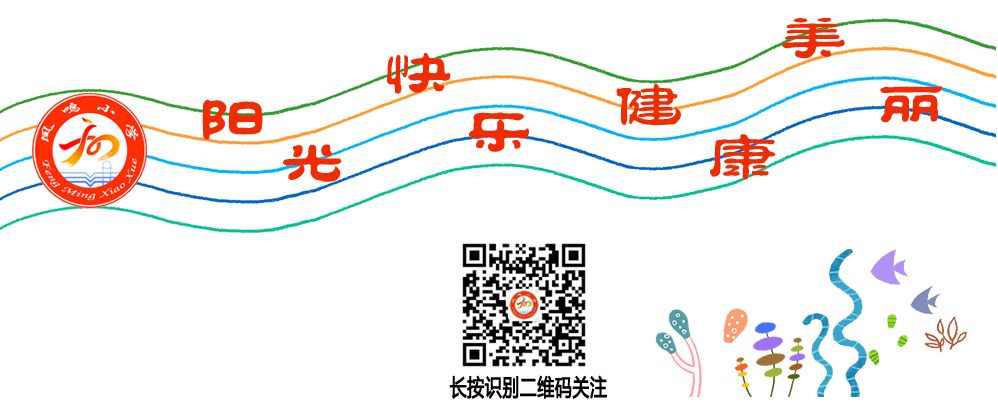【喜报】凤鸣小学篮球队在2024年市区小学生篮球联赛中取得佳绩! 第8张