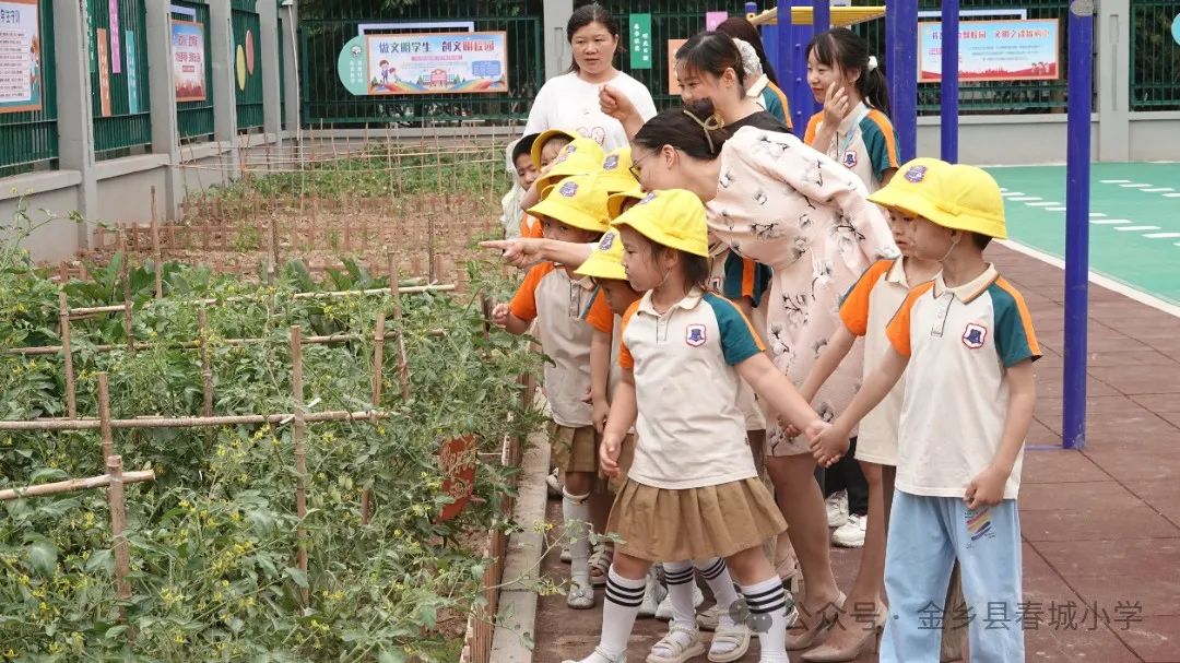 【春晖小学】小学零距离 成长初体验——小幼衔接参观体验活动 第8张 【春晖小学】小学零距离 成长初体验——小幼衔接参观体验活动 第8张