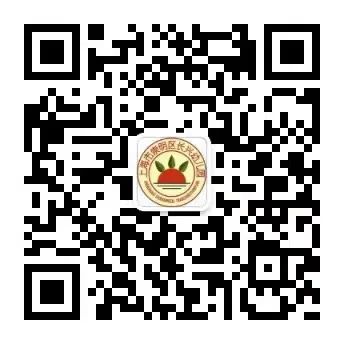 亲爱的小学,我们来啦!——长兴幼儿园幼小衔接之参观小学 第43张 亲爱的小学,我们来啦!——长兴幼儿园幼小衔接之参观小学 第43张